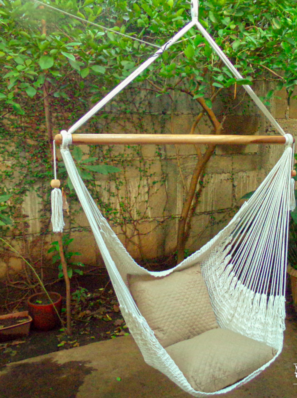 buy chair hammock online