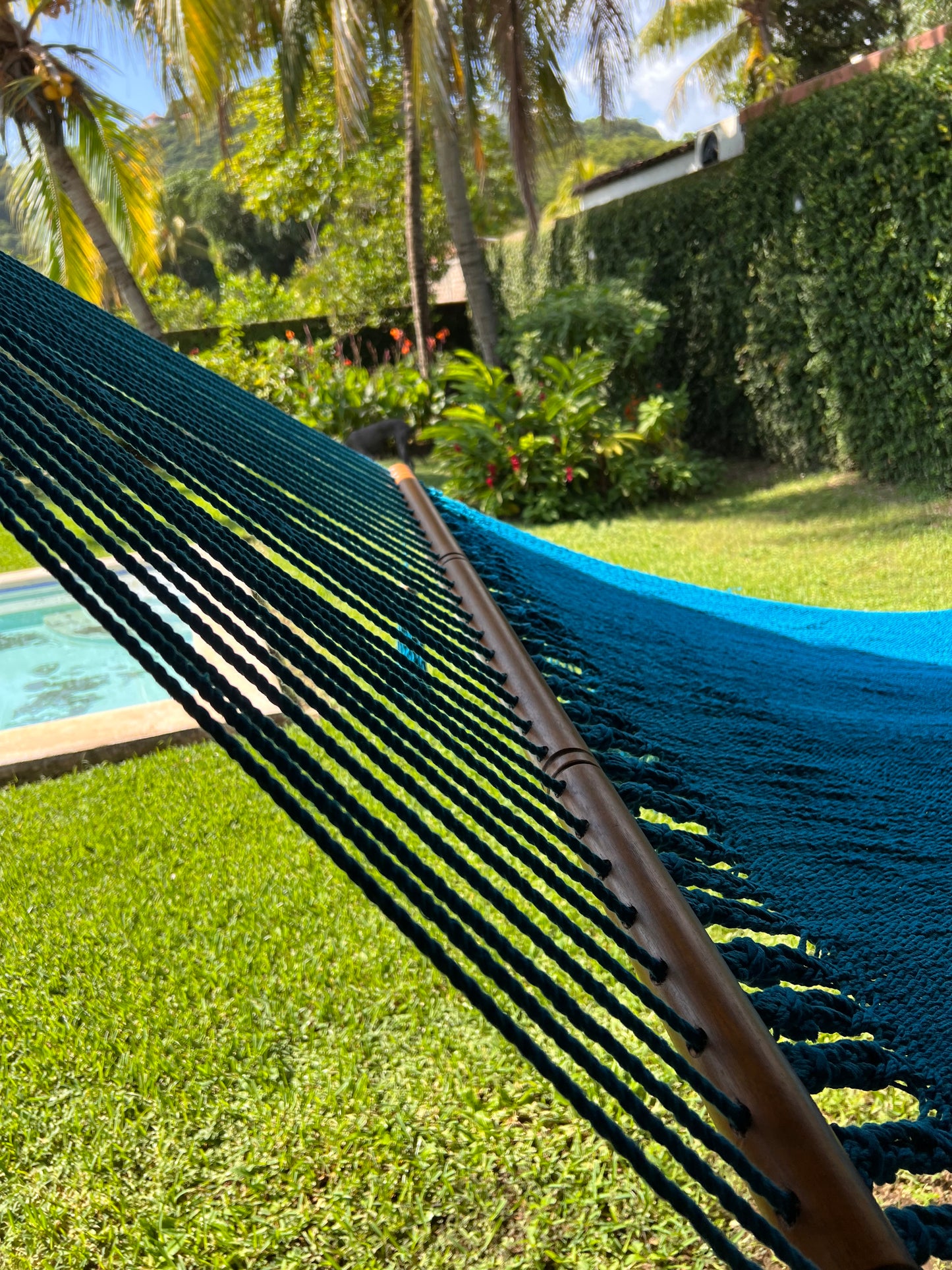 king hammocks